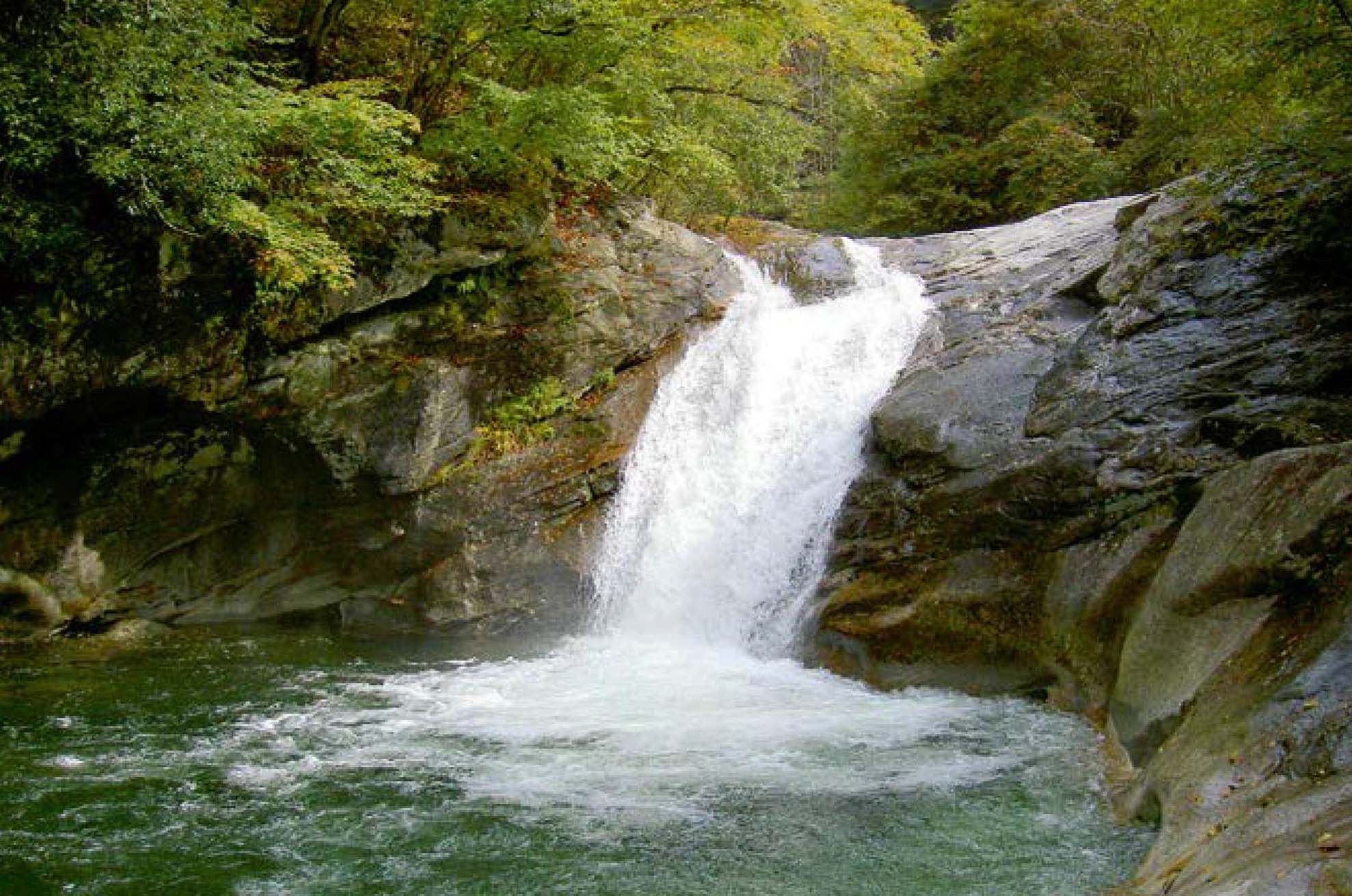 “一江清水供北京”的重要水源涵養(yǎng)地——陜西寧陜旬河源國(guó)家濕地公園